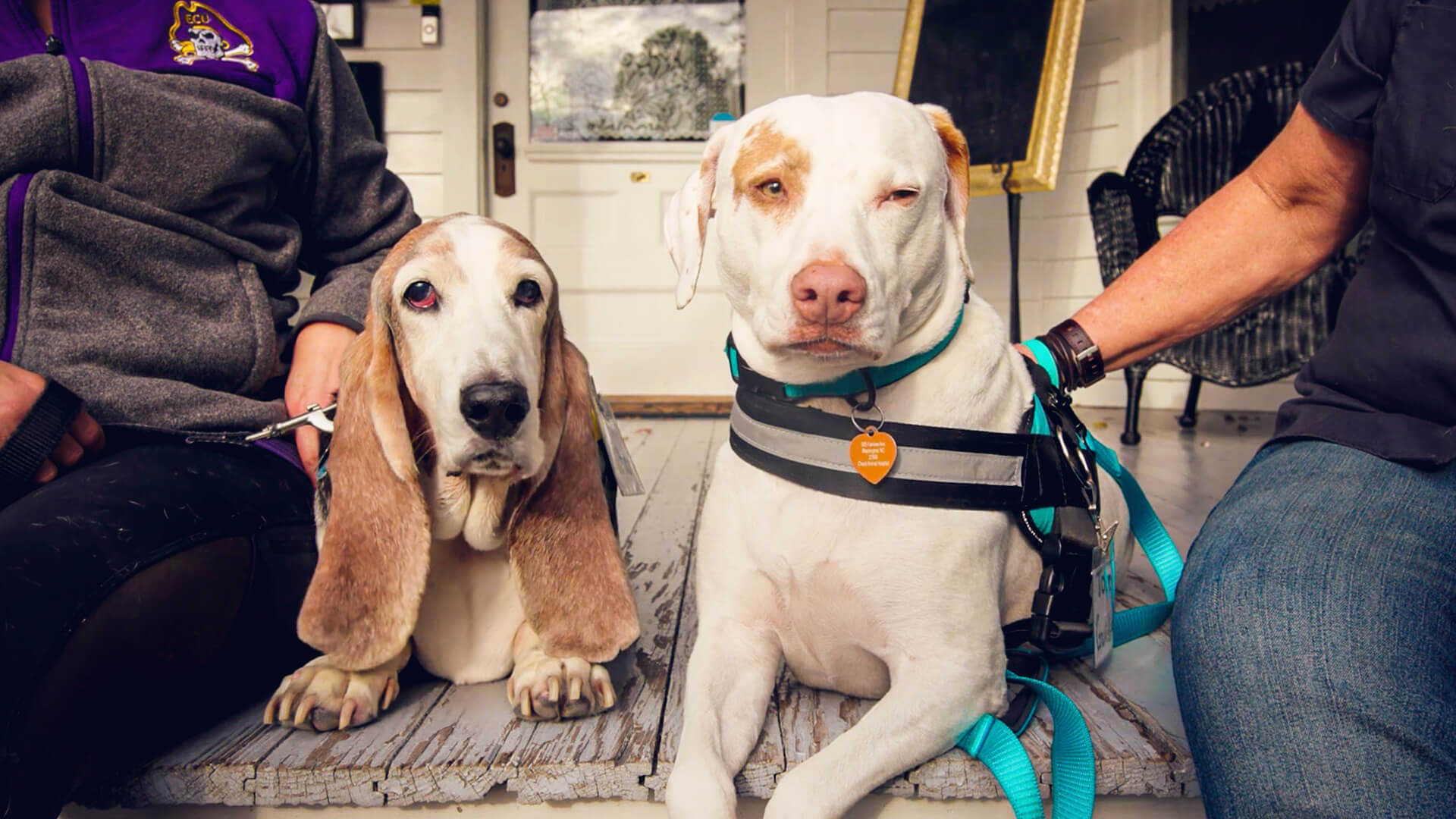 little washington, nc 